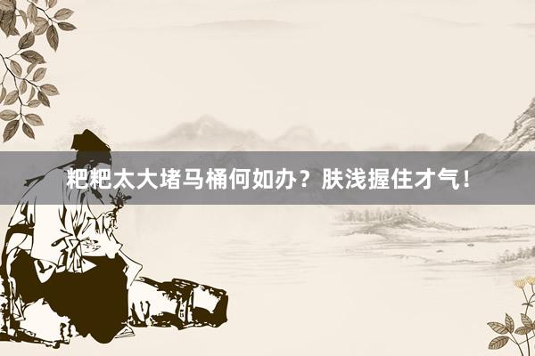 粑粑太大堵马桶何如办？肤浅握住才气！