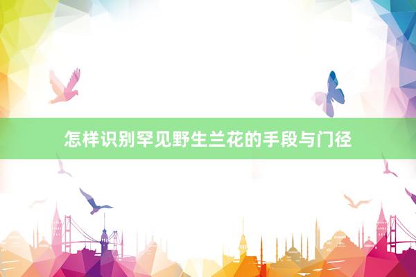 怎样识别罕见野生兰花的手段与门径